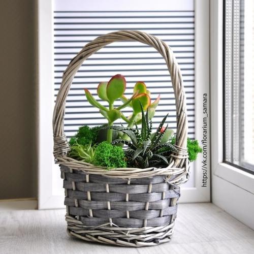 ЭКО стиль - ваш стиль? 04 ЭКО стиль - ваш стиль? 04