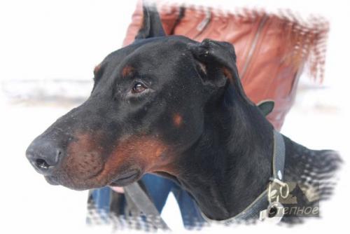 Максимальный репост прошу! 01 Максимальный репост прошу! 01