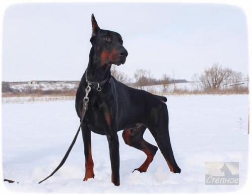 Максимальный репост прошу! 03 Максимальный репост прошу! 03