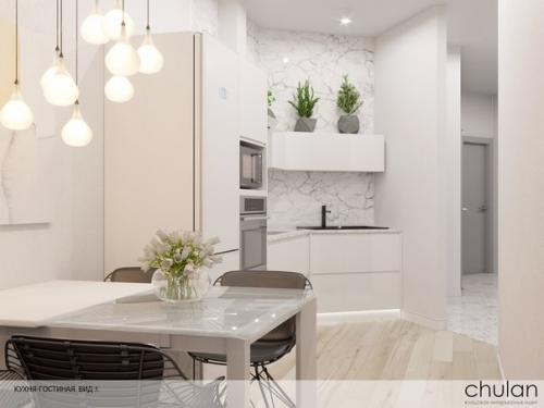 Кухня - гостиная в современном стиле. 04