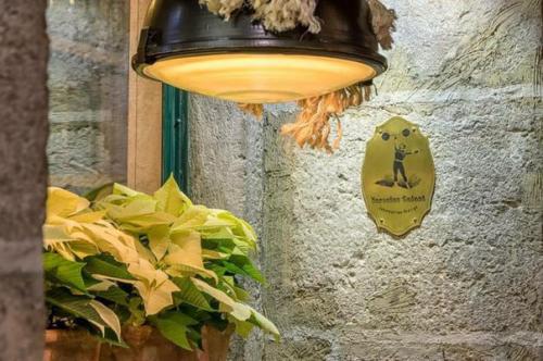 Часть 1. уникальный интерьер ресторана в историческом центре Лиссабона от украинских дизайнеров. 02