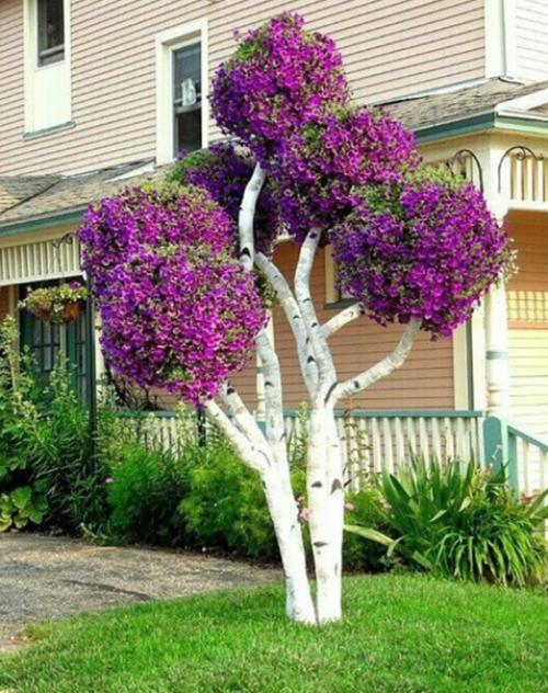 Вау!  Такие крутые идеи для клумбочек! 01