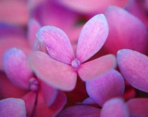 Всех милых женщин на планете. 04