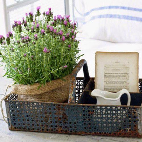 Особенности стиля Прованс. 06