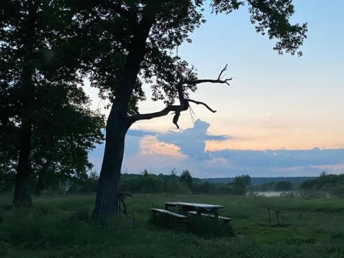 Регулярный отдых - залог крепкого здоровья. 06