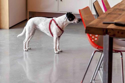 Часть 1. дом в старом амбаре в графстве суффолк. 08