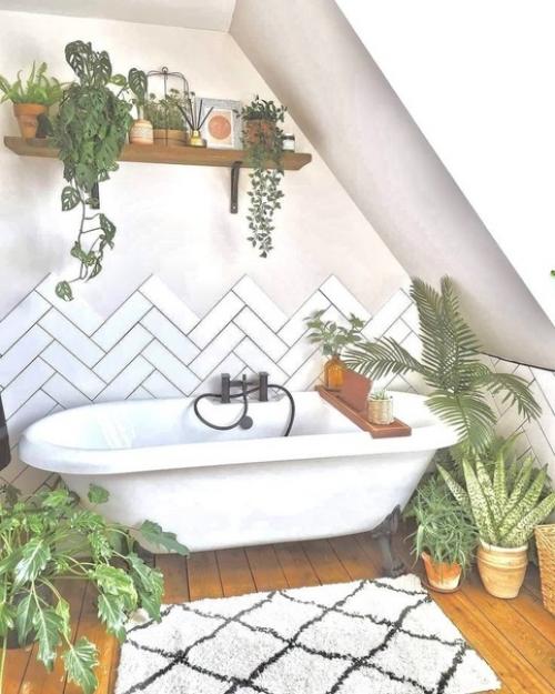 Живые растения в ванной. 03