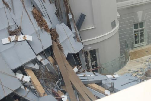 Томас хиршхорн.  Срез. 04