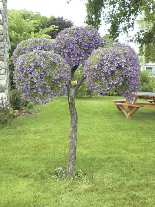 Вау!  Такие крутые идеи для клумбочек! 02