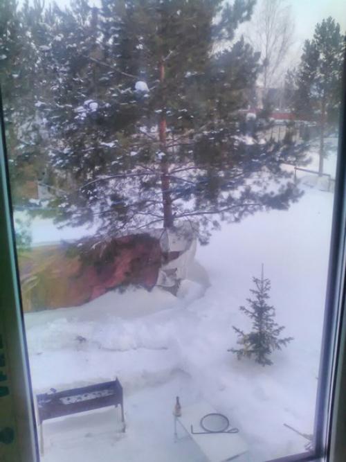 Давно не писала, каюсь! 07