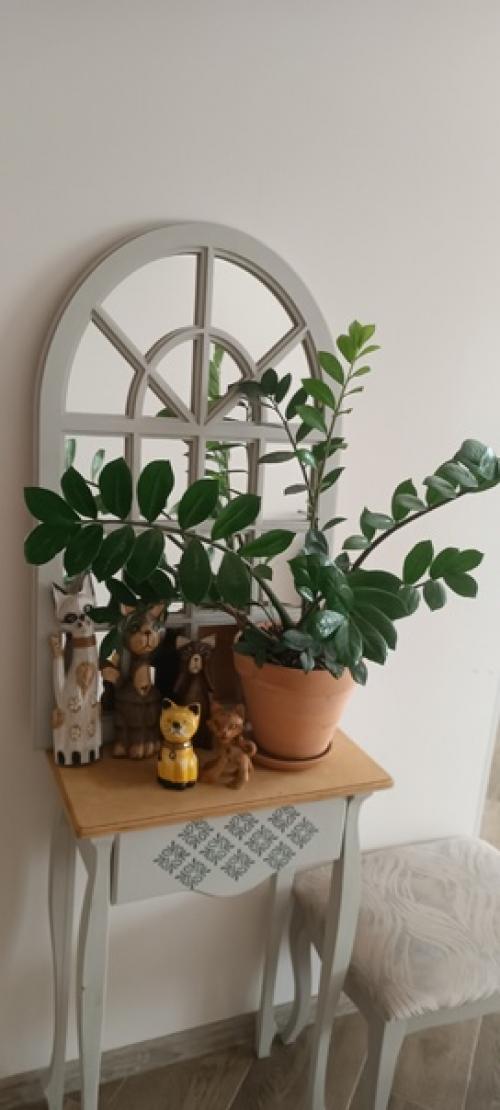 Цветущих нет!  Просто не люблю цветущие растения и все. 04