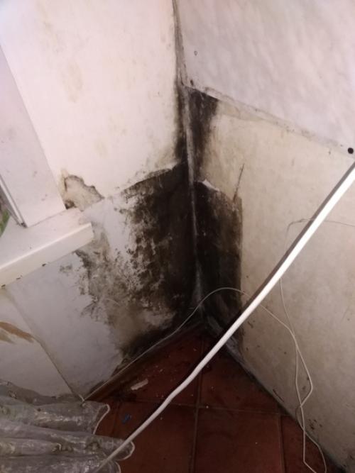 От нашей подписчицы. 01