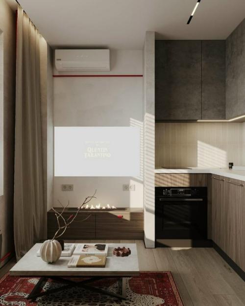 Квартира площадью 27, 5 квадратных метров выполнена в индустриальном стиле с лёгкими восточными нотками. 02