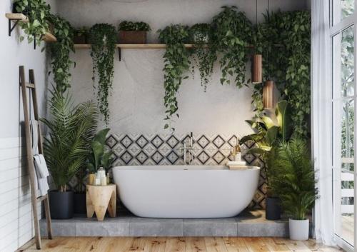 Живые растения в ванной. 05