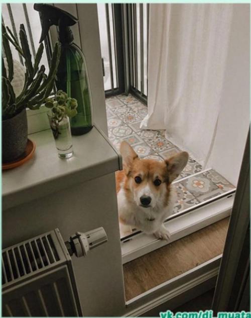 Идеальный балкончик. Красивый и уютный. 06