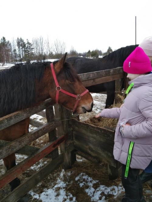 16 марта группа учащихся 5 б класса побывали в г. Мезень. 08