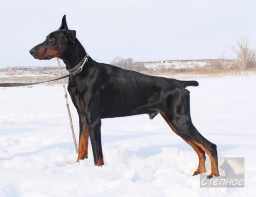 Максимальный репост прошу! 02 Максимальный репост прошу! 02