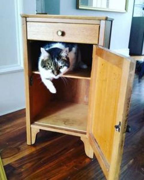 Синий в ванной комнате: потрясающее преображение с фото до и после. 05