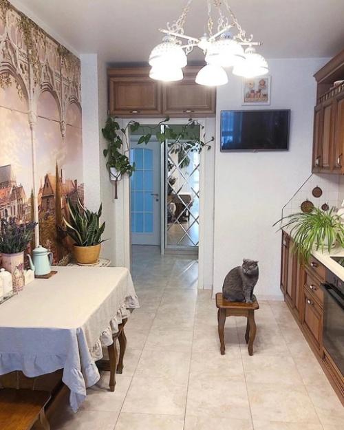 Не всем сейчас нравятся такие кухни, как у нас. 05