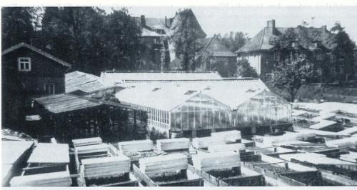 У Цветов НЕ Бывает Будней, ОНИ Всегда Одеты Празднично. 01