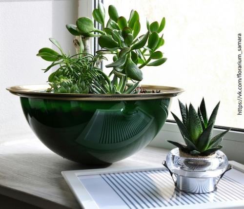 ЭКО стиль - ваш стиль? 07 ЭКО стиль - ваш стиль? 07