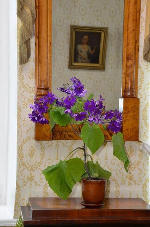 Научная статья.  Цветы в интерьере барских домов. 02