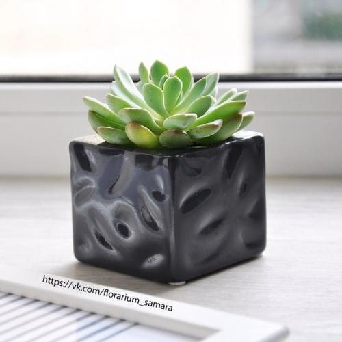 ЭКО стиль - ваш стиль? 05 ЭКО стиль - ваш стиль? 05