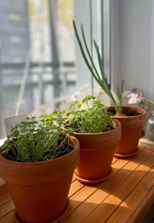 Весна в деталях прекрасной квартиры Ксении Ksenichka_Home. 07