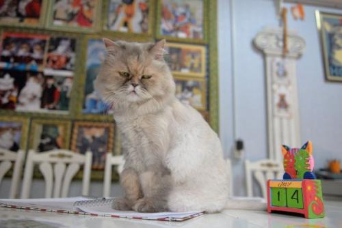 10 интерактивных музеев Петербурга, где скучать не придется. 08 10 интерактивных музеев Петербурга, где скучать не придется. 08