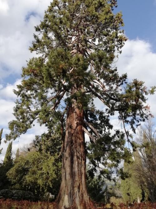 Пункты 3 и 4. 08