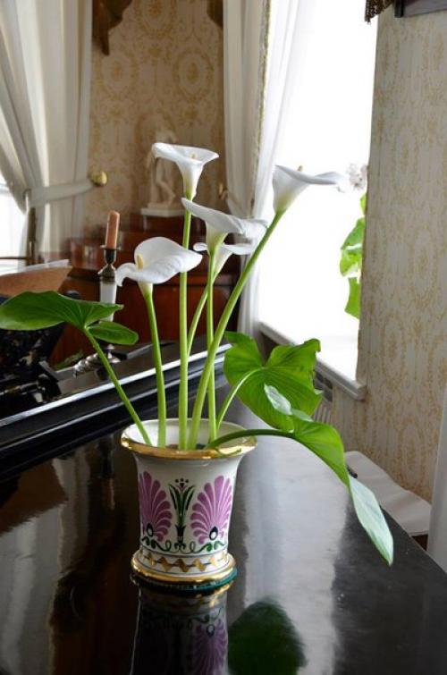 Научная статья.  Цветы в интерьере барских домов. 06