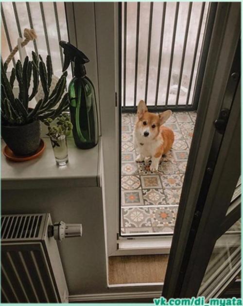 Идеальный балкончик. Красивый и уютный. 05