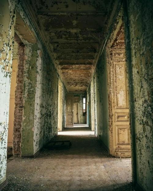 Заброшенный особняк в Самаре могут превратить в дворец свадеб. 04