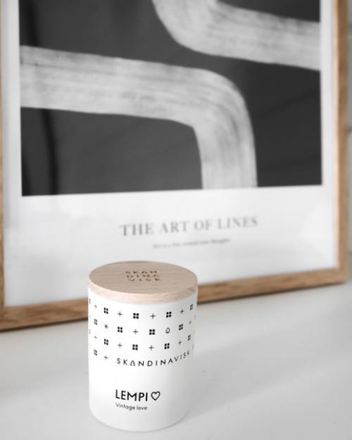 Любая деталь в минималистичном интерьере должна нести свою определенную функцию. 08