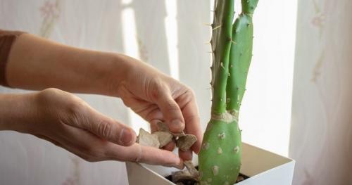 6 дел по уборке, которые поднимут вам настроение. 04