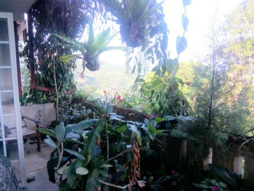 Вчера приехали в Канди уже в десятом часу вечера. 02