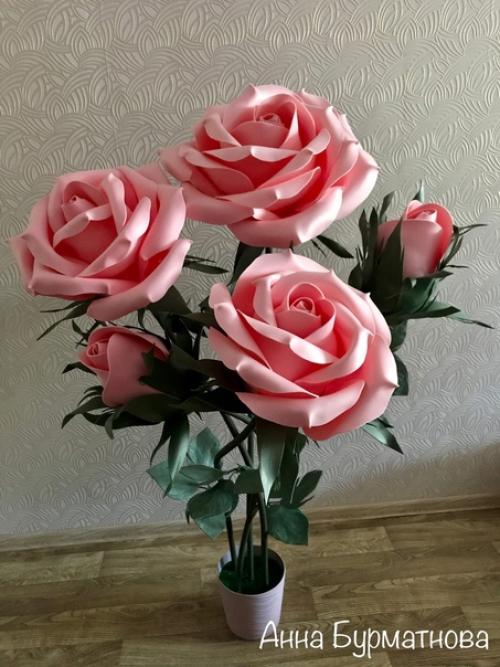 Розовые розы.  Цветочки розовые, пушистые, Набирающие Цвет диаметром 34 см, 35 см и 40 см, два нераскрывшихся бутончика. 01