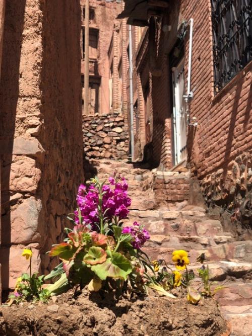 Мое маленькое путешествие по небольшой части Востока завершилось и вот уже несколько дней пытаюсь сформулировать свои впечатления. 02 Мое маленькое путешествие по небольшой части Востока завершилось и вот уже несколько дней пытаюсь сформулировать свои впечатления. 02