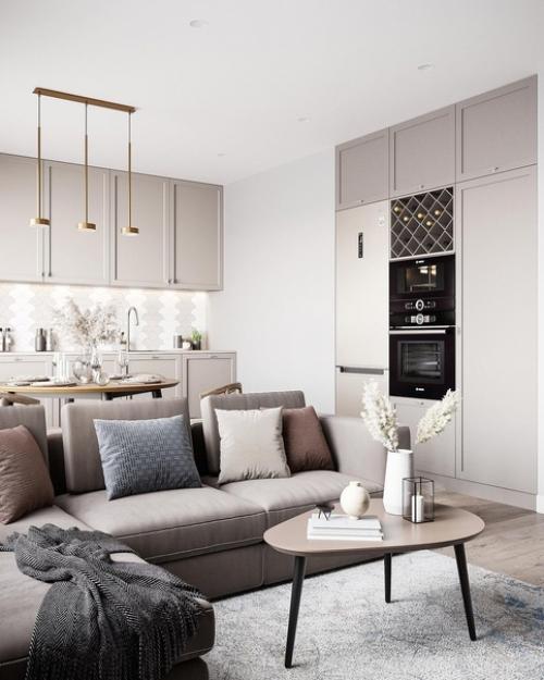 Стильный интерьер квартиры с уютной кухней - гостиной, утонченной прихожей и минималистичным санузлом. 01