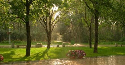 Самые большие лесопарки и заповедники москвы. 03