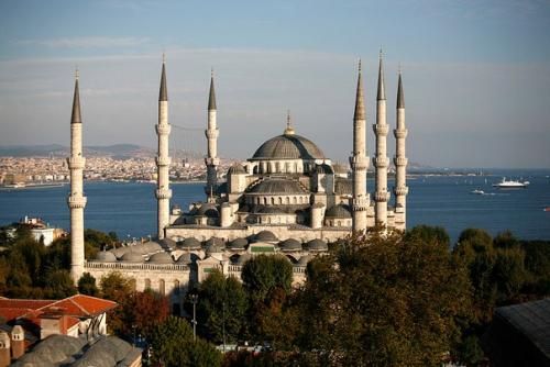 Голуба?  Я мече? 03