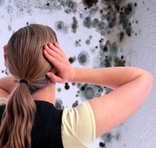 Как избавиться от плесени в КВАРТИРЕ. Как избавиться от плесени в КВАРТИРЕ.