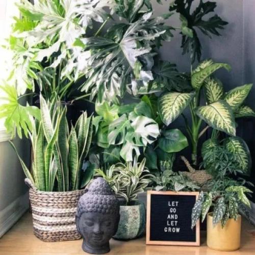 Цветы в интерьере. 05