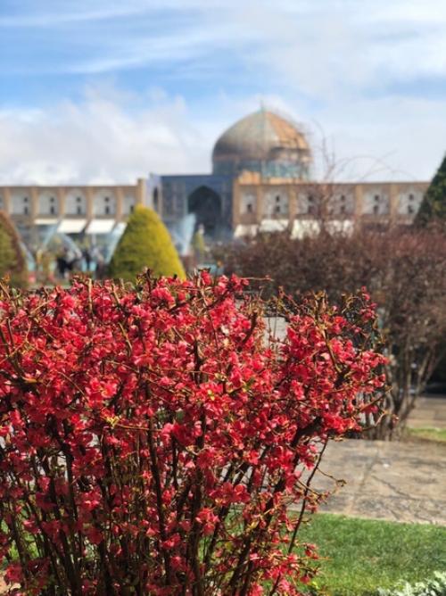 Мое маленькое путешествие по небольшой части Востока завершилось и вот уже несколько дней пытаюсь сформулировать свои впечатления. 03 Мое маленькое путешествие по небольшой части Востока завершилось и вот уже несколько дней пытаюсь сформулировать свои впечатления. 03