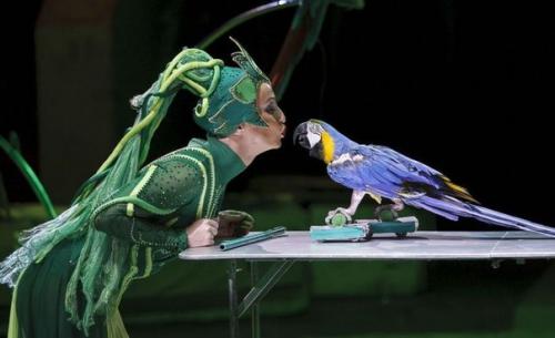 10 интересных мест для отдыха с детьми в Воронеже. 07