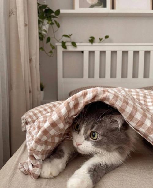 Уют в каждой детали светлой квартиры Яны Sivkova_Yana в Анапе. 05