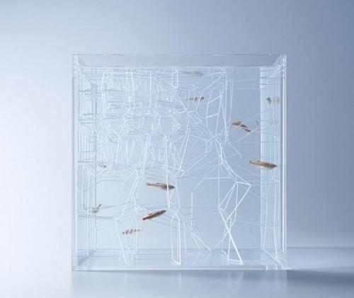 Дизайнерские аквариумы Haruka Misawa. 04