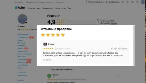 Колеус Apricot Pin: солнце в каждом листе! 03 Колеус Apricot Pin: солнце в каждом листе! 03