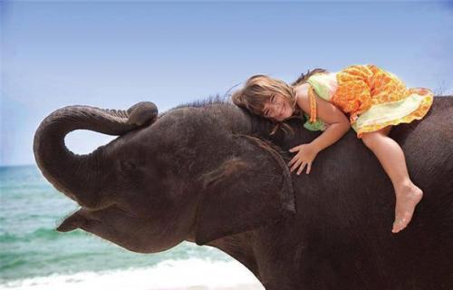 Топ 30 отелей для детей на самуи. 01