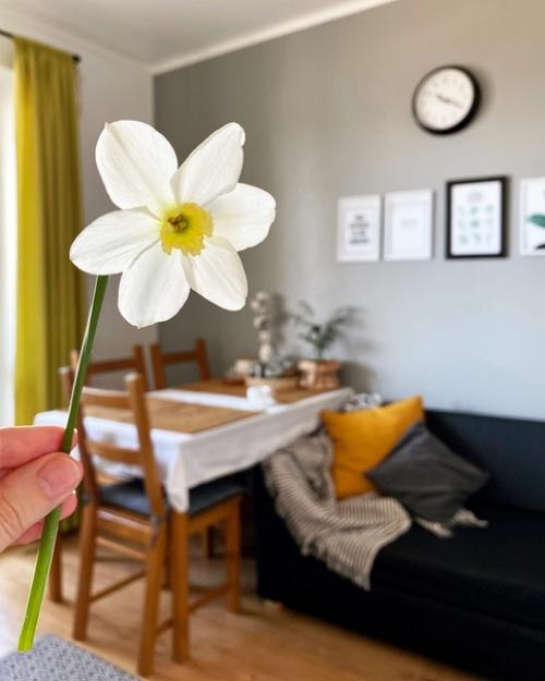 Доброго времени суток! 06